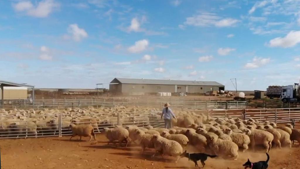 Guy Hands 12th Aussie farm