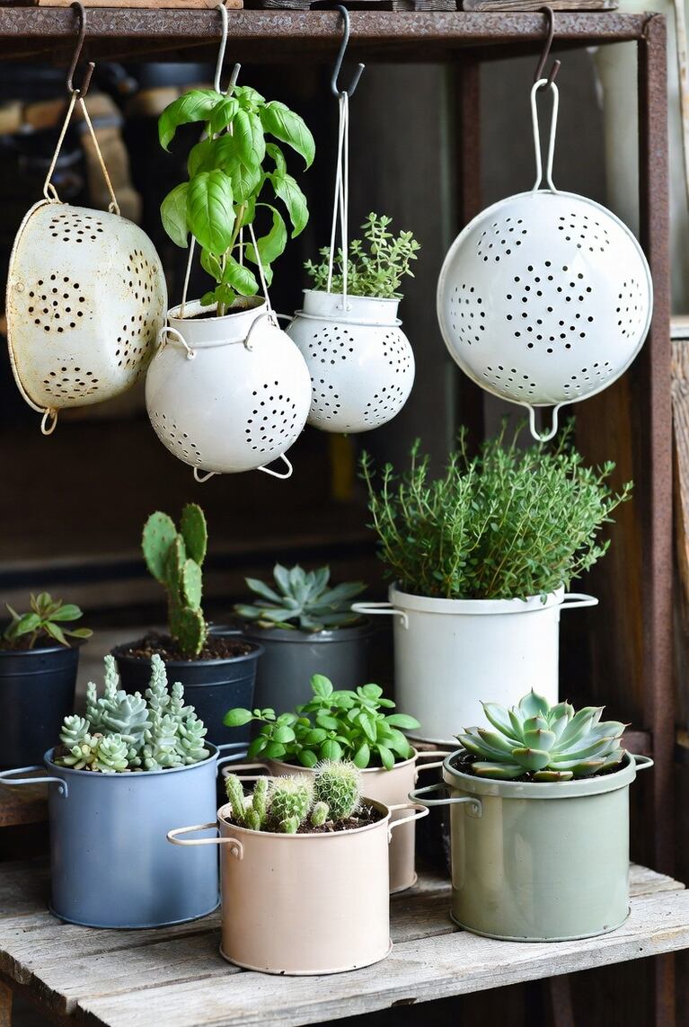 Takto může vypadat vaše zelená oáza (Foto: Grok).